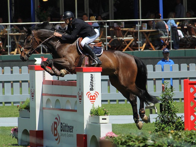 在詹姆斯的 在詹姆斯的