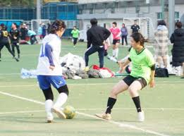 多年努力的 多年努力的