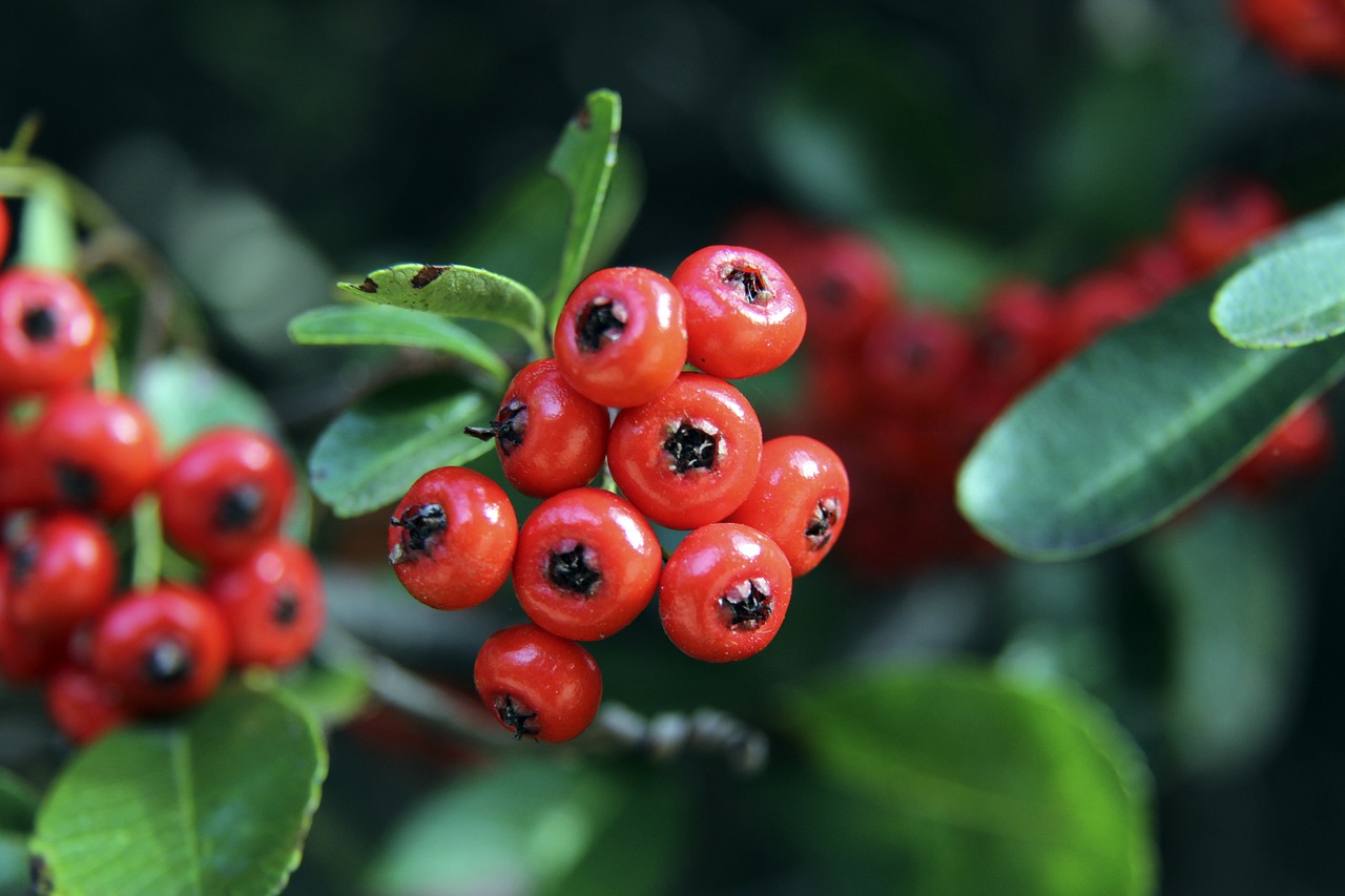 现实力的一 现实力的一